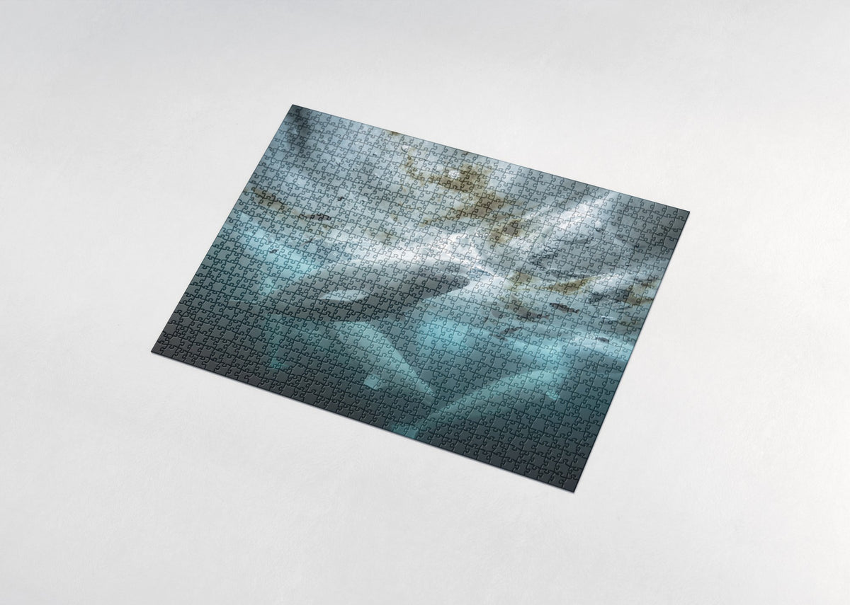 Belugas Under the Ice jigsaw puzzle - assembled puzzle