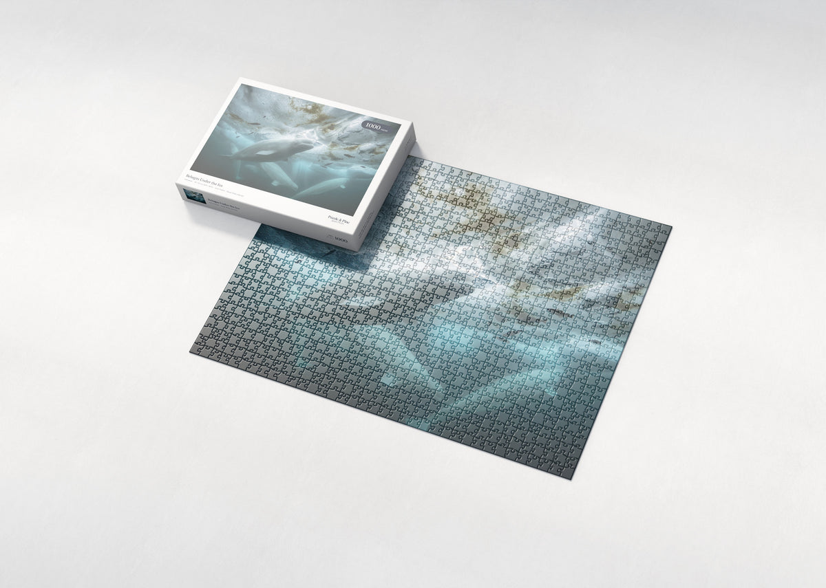 Belugas Under the Ice jigsaw puzzle - box and puzzle