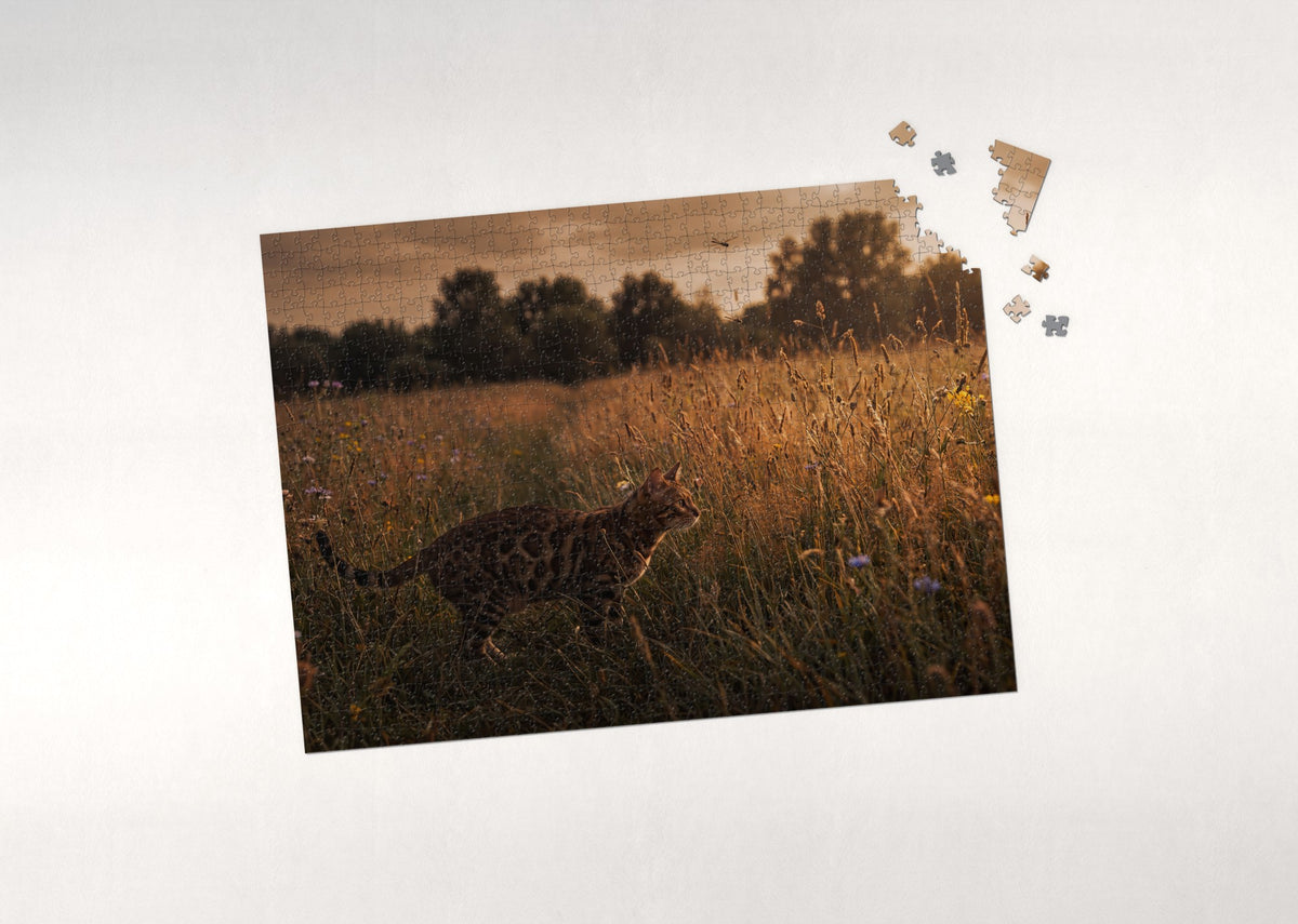 Bengal Cat In the Golden Grass at Dusk jigsaw puzzle - puzzle with loose pieces