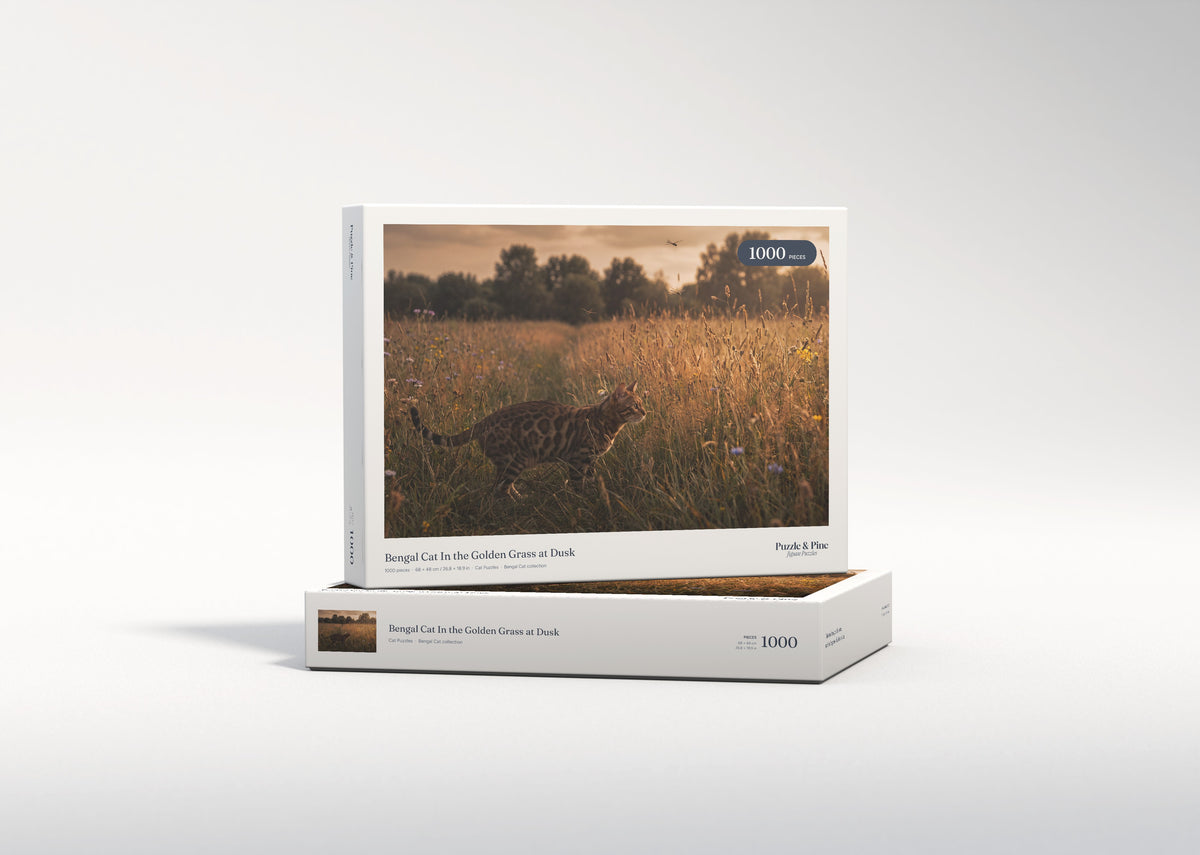 Bengal Cat In the Golden Grass at Dusk jigsaw puzzle - gift box