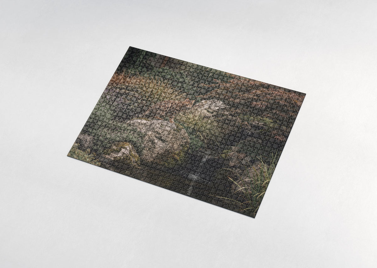 Bengal Cat On the Garden Rocks jigsaw puzzle - assembled puzzle