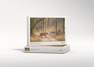 Bengal Tiger in the Jungle jigsaw puzzle - gift box