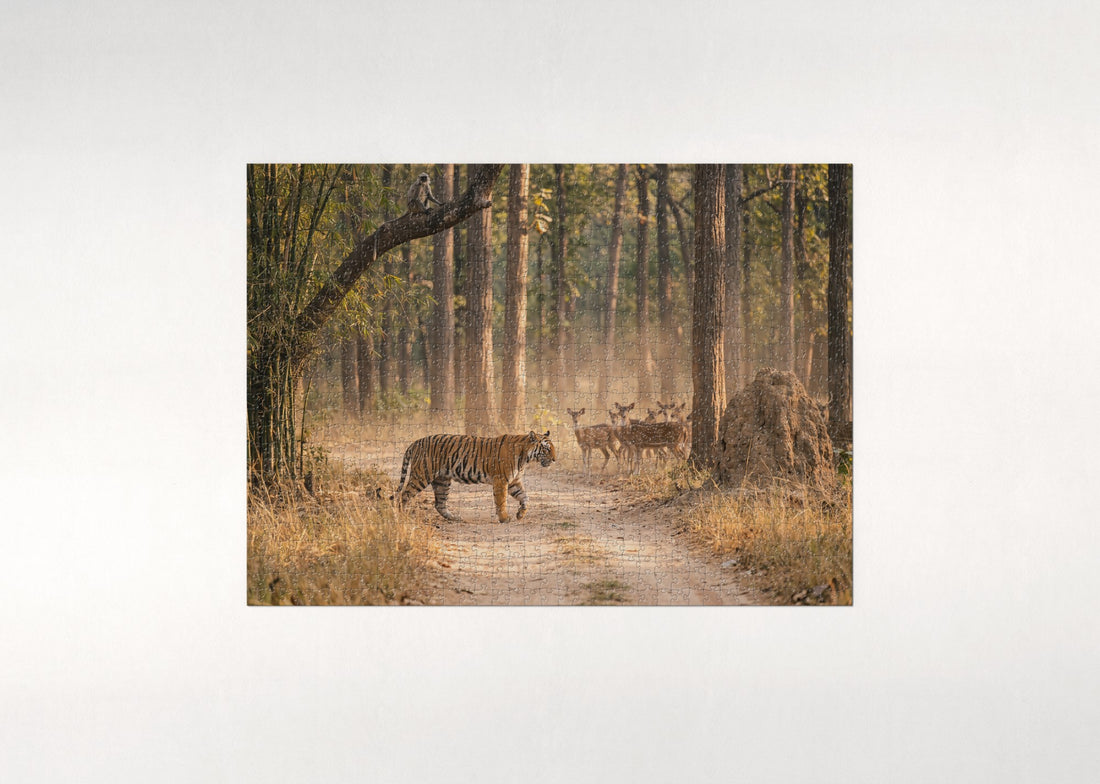 Bengal Tiger in the Jungle jigsaw puzzle - gift box