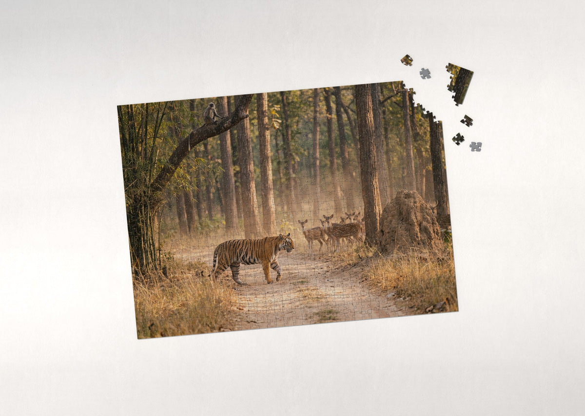 Bengal Tiger in the Jungle jigsaw puzzle - puzzle with loose pieces