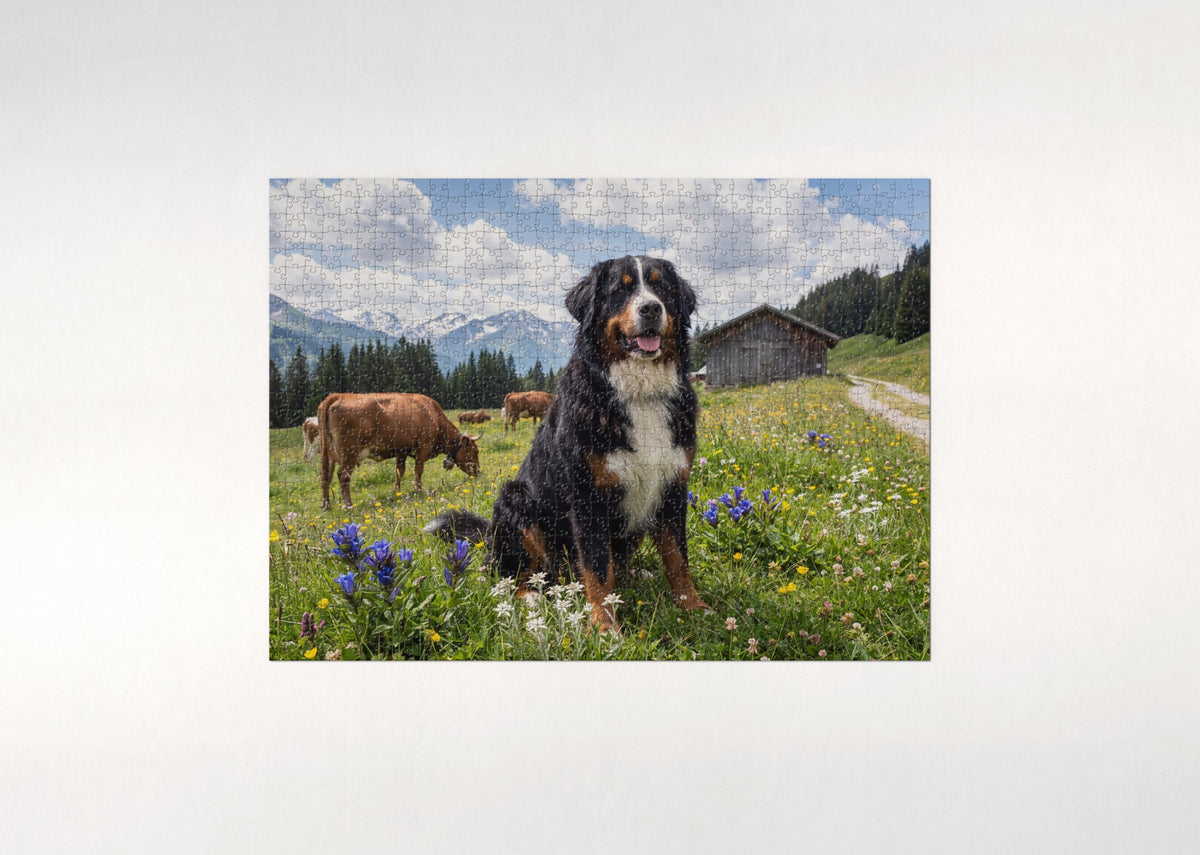 Bernese Mountain Dog in the Alpine Meadow jigsaw puzzle - flat puzzle