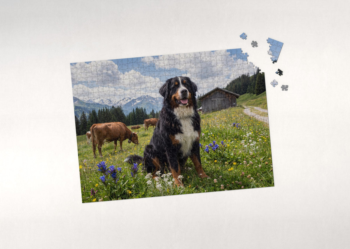 Bernese Mountain Dog in the Alpine Meadow jigsaw puzzle - puzzle with loose pieces