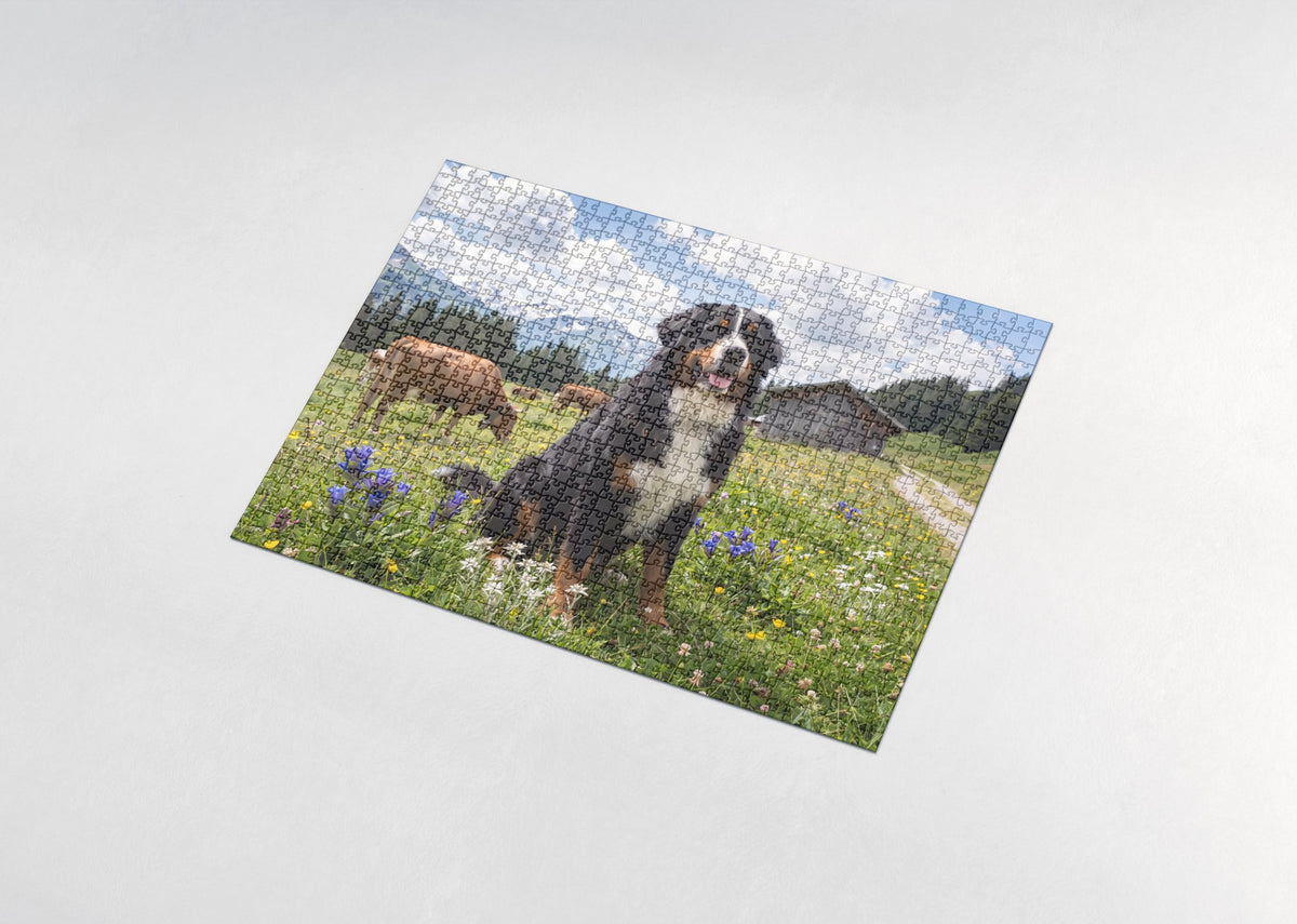Bernese Mountain Dog in the Alpine Meadow jigsaw puzzle - assembled puzzle