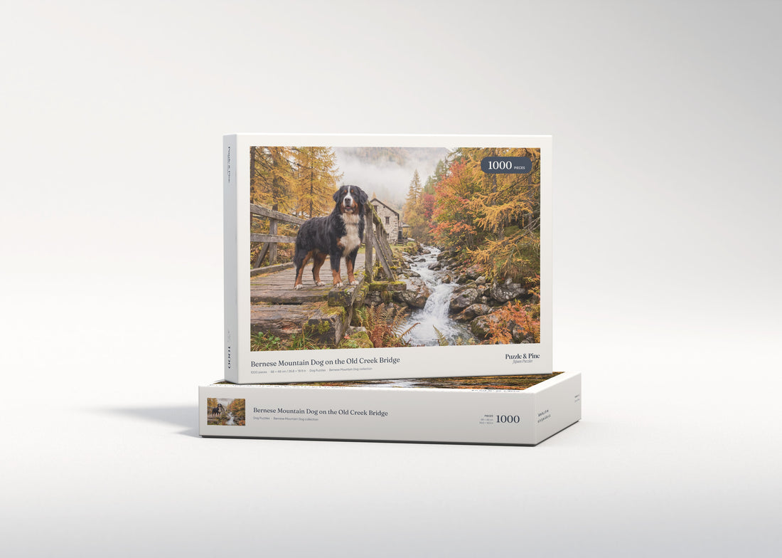 Bernese Mountain Dog on the Old Creek Bridge jigsaw puzzle - gift box