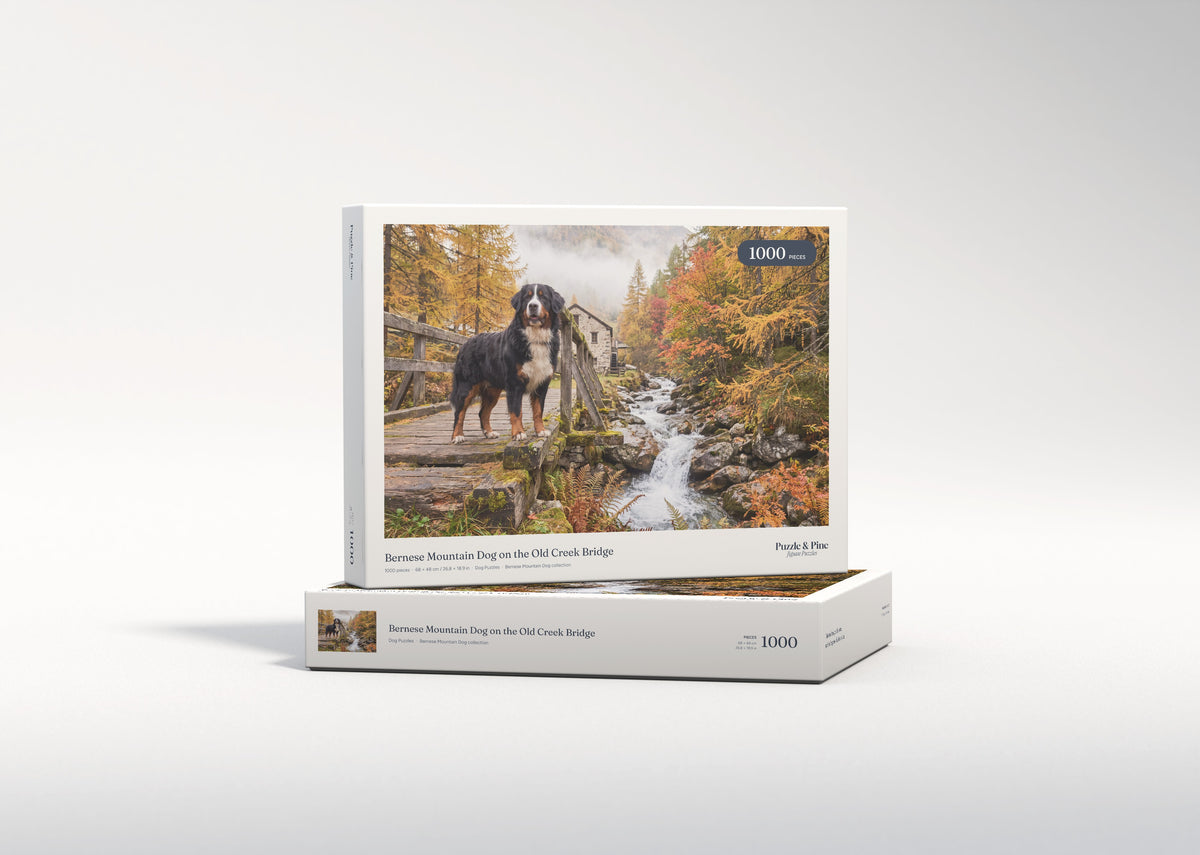 Bernese Mountain Dog on the Old Creek Bridge jigsaw puzzle - gift box