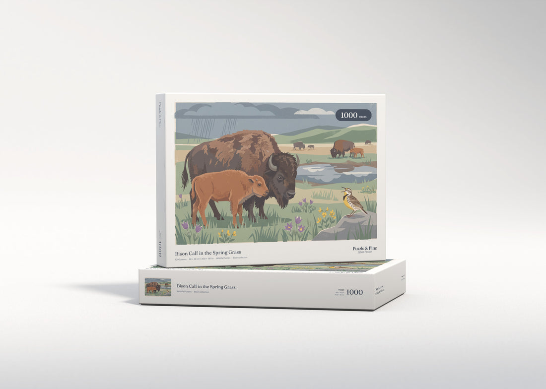 Bison Calf in the Spring Grass jigsaw puzzle - gift box