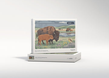 Bison Calf in the Spring Grass jigsaw puzzle - gift box