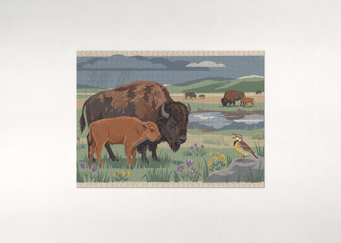 Bison Calf in the Spring Grass jigsaw puzzle - gift box