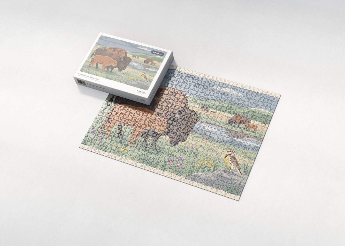 Bison Calf in the Spring Grass jigsaw puzzle - box and puzzle