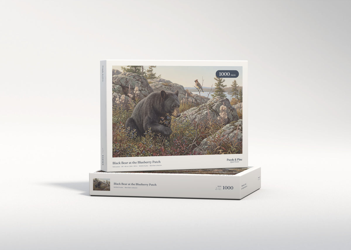 Black Bear at the Blueberry Patch jigsaw puzzle - gift box