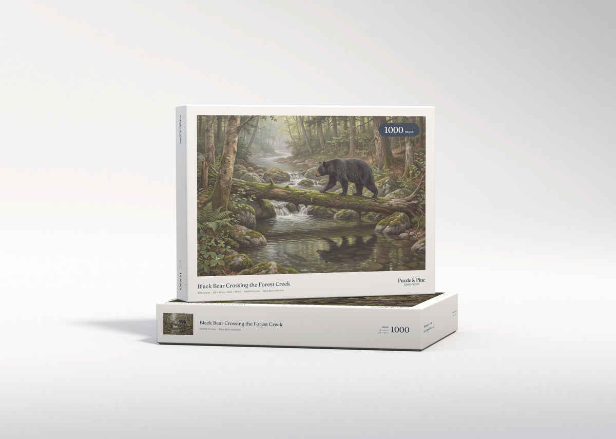 Black Bear Crossing the Forest Creek jigsaw puzzle - gift box
