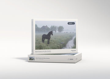 Black Friesian in the Misty Meadow jigsaw puzzle - gift box