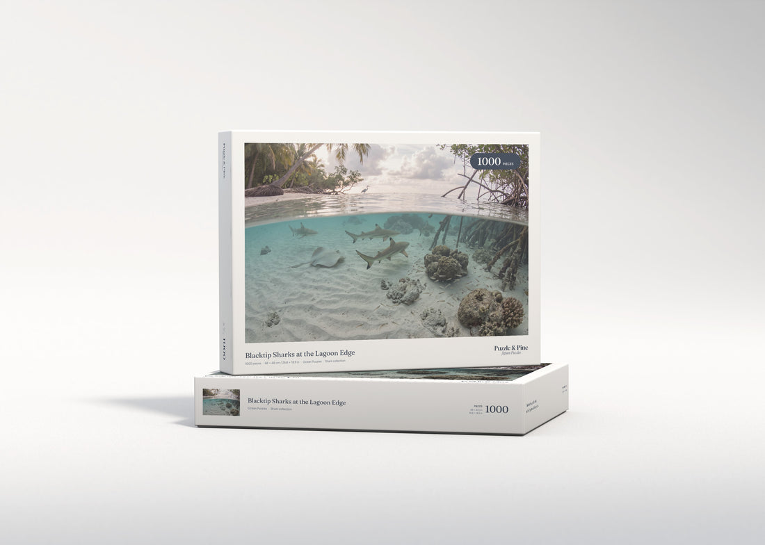 Blacktip Sharks at the Lagoon Edge jigsaw puzzle - gift box