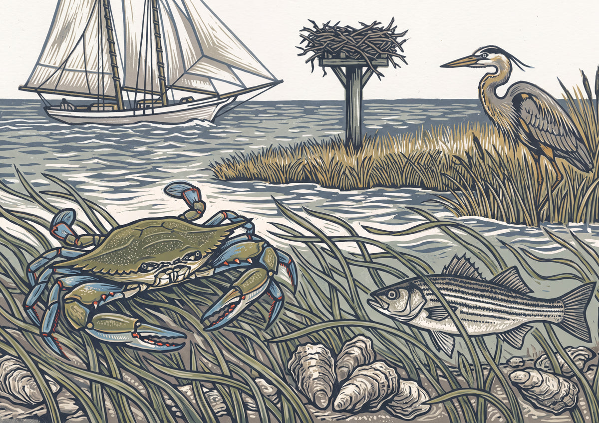 Blue Crab of the Chesapeake Bay jigsaw puzzle
