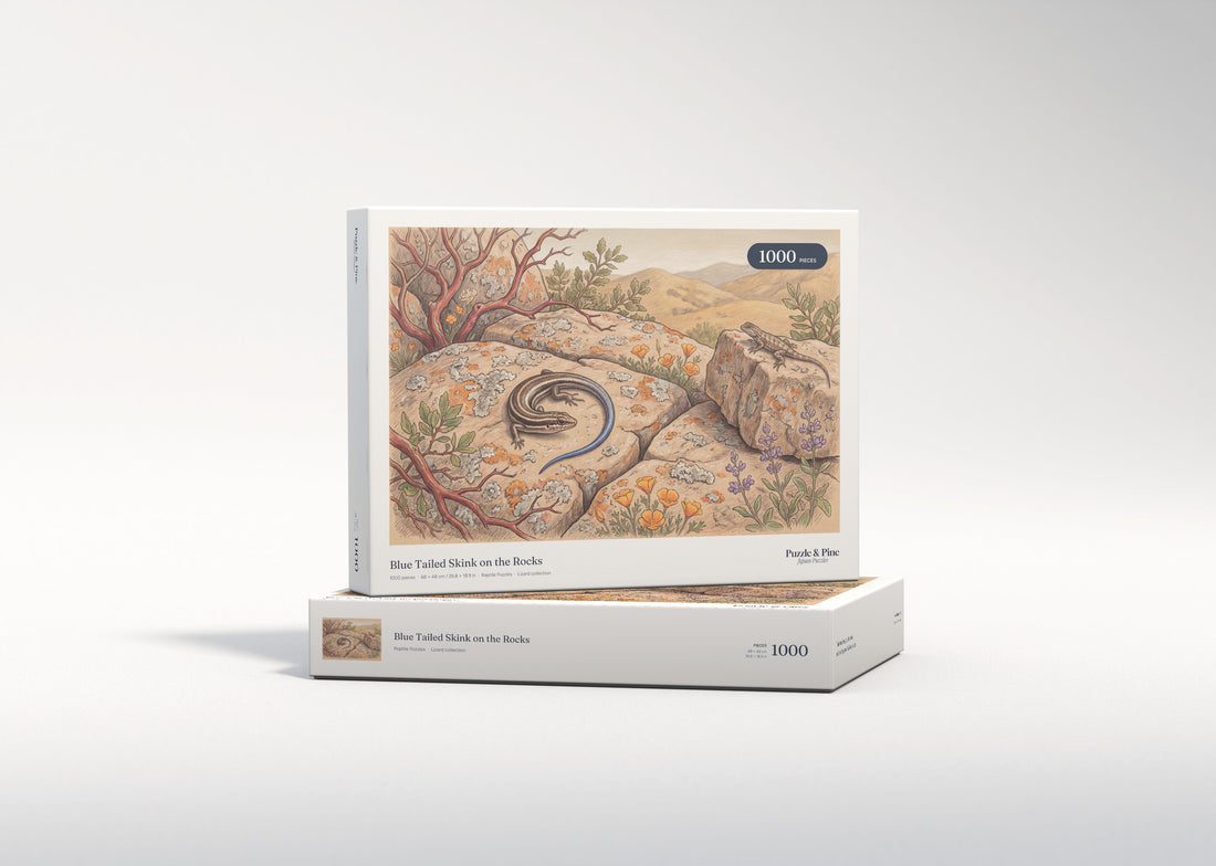Blue Tailed Skink on the Rocks jigsaw puzzle - gift box