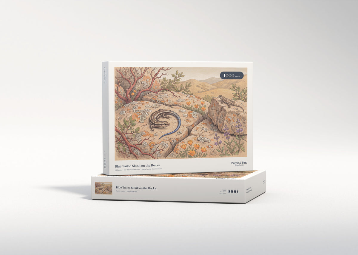 Blue Tailed Skink on the Rocks jigsaw puzzle - gift box