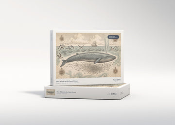 Blue Whale in the Open Ocean jigsaw puzzle - gift box