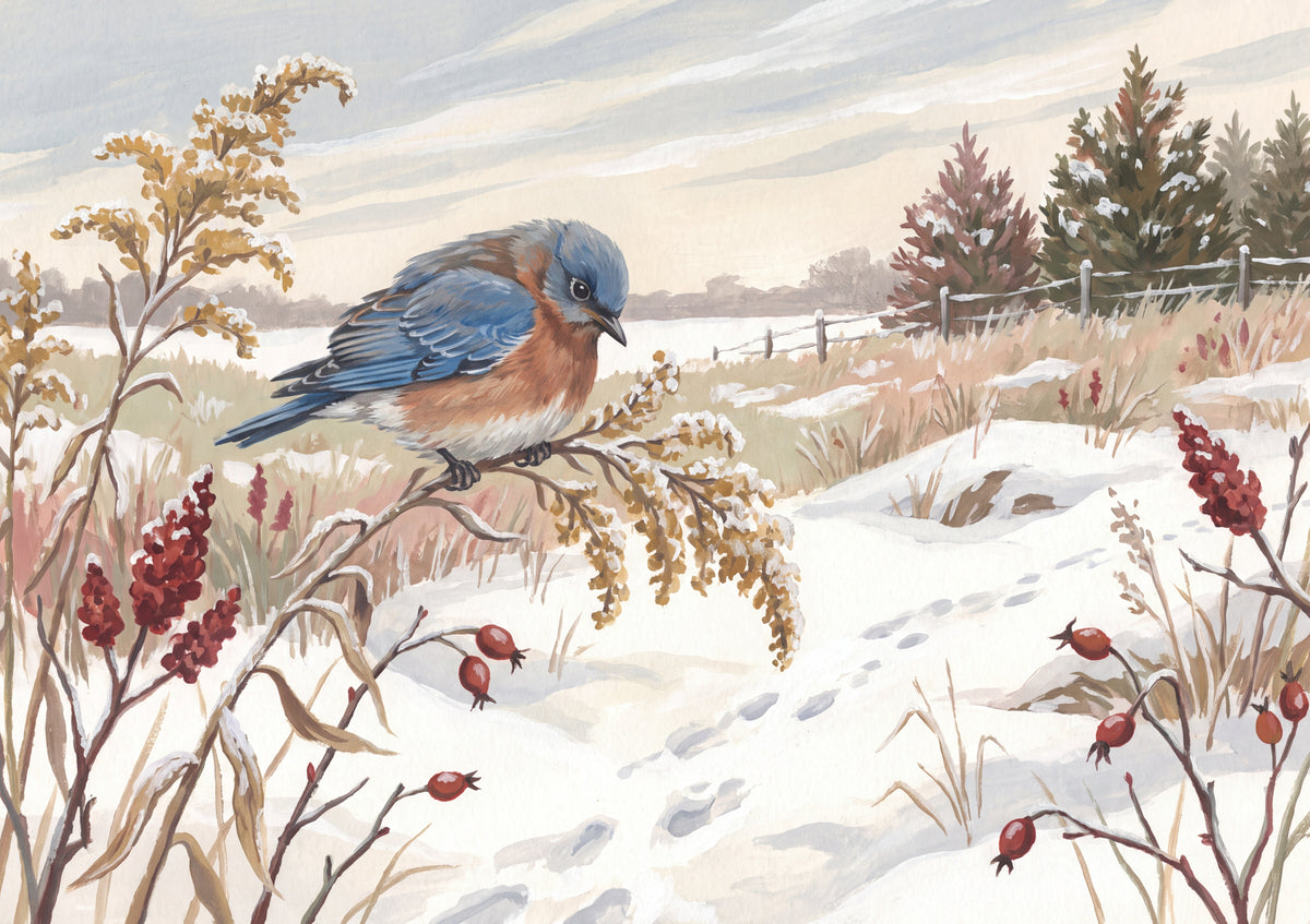 Bluebird in the Snowy Meadow jigsaw puzzle