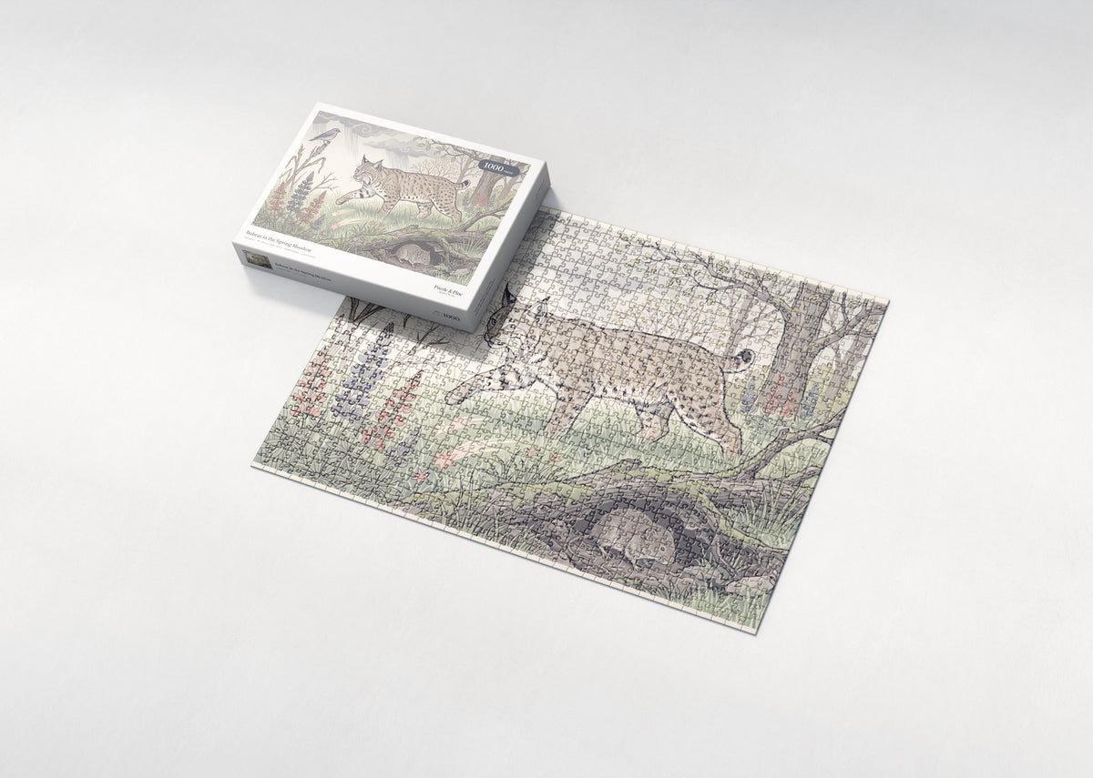 Bobcat in the Spring Meadow jigsaw puzzle - box and puzzle