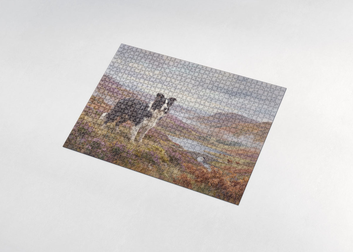 Border Collie in the Misty Highland Hills jigsaw puzzle - assembled puzzle
