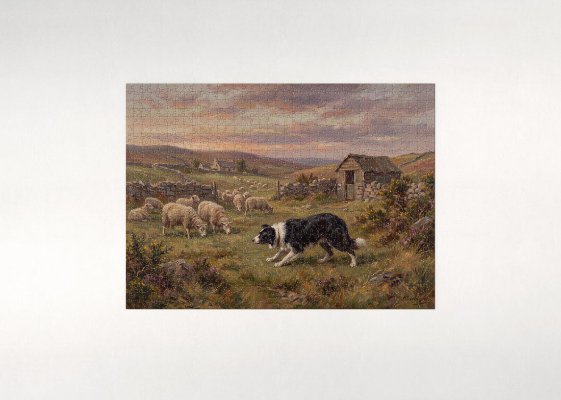 Border Collie in the Sheep Pasture at Dusk jigsaw puzzle - gift box
