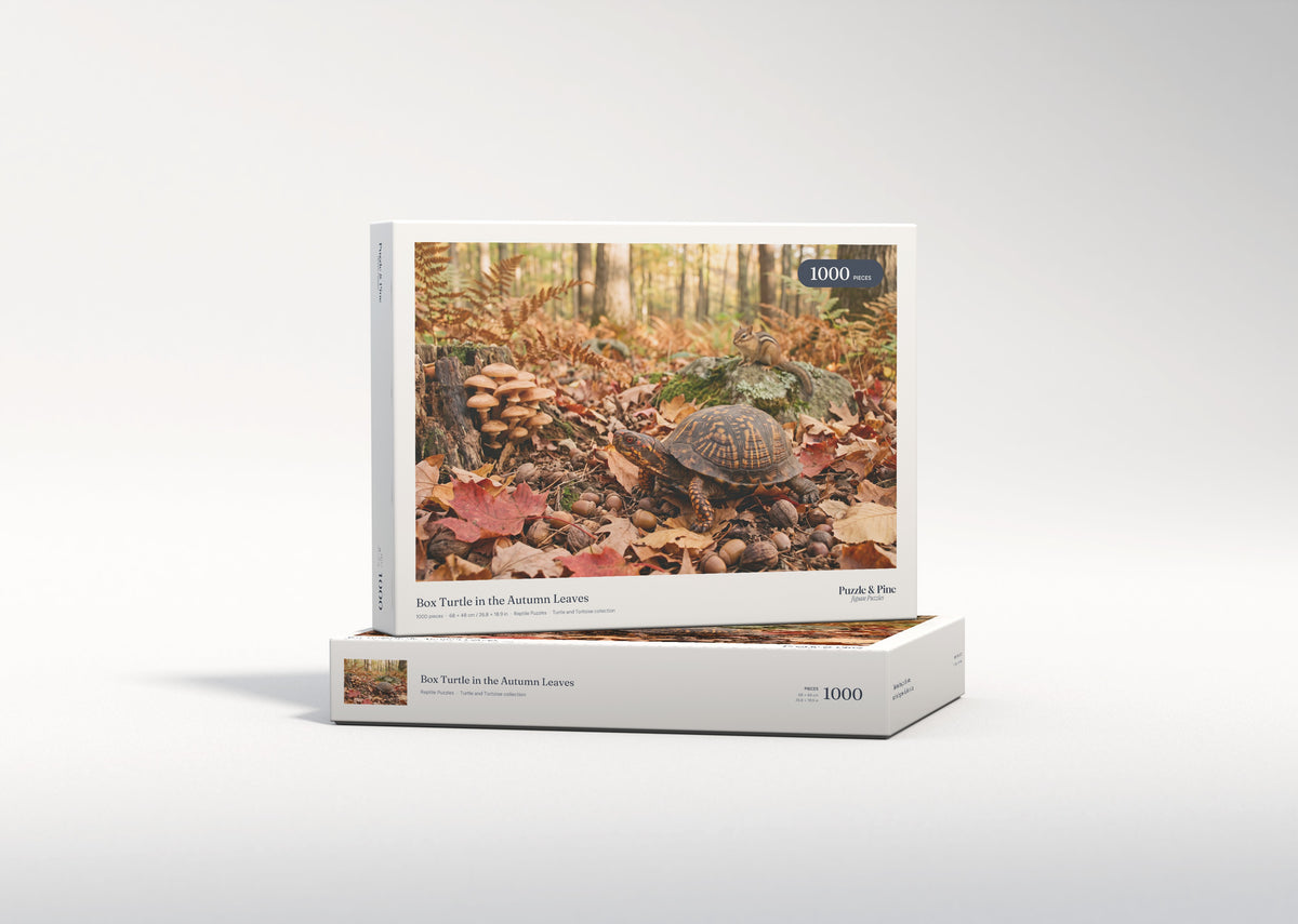 Box Turtle in the Autumn Leaves jigsaw puzzle - gift box