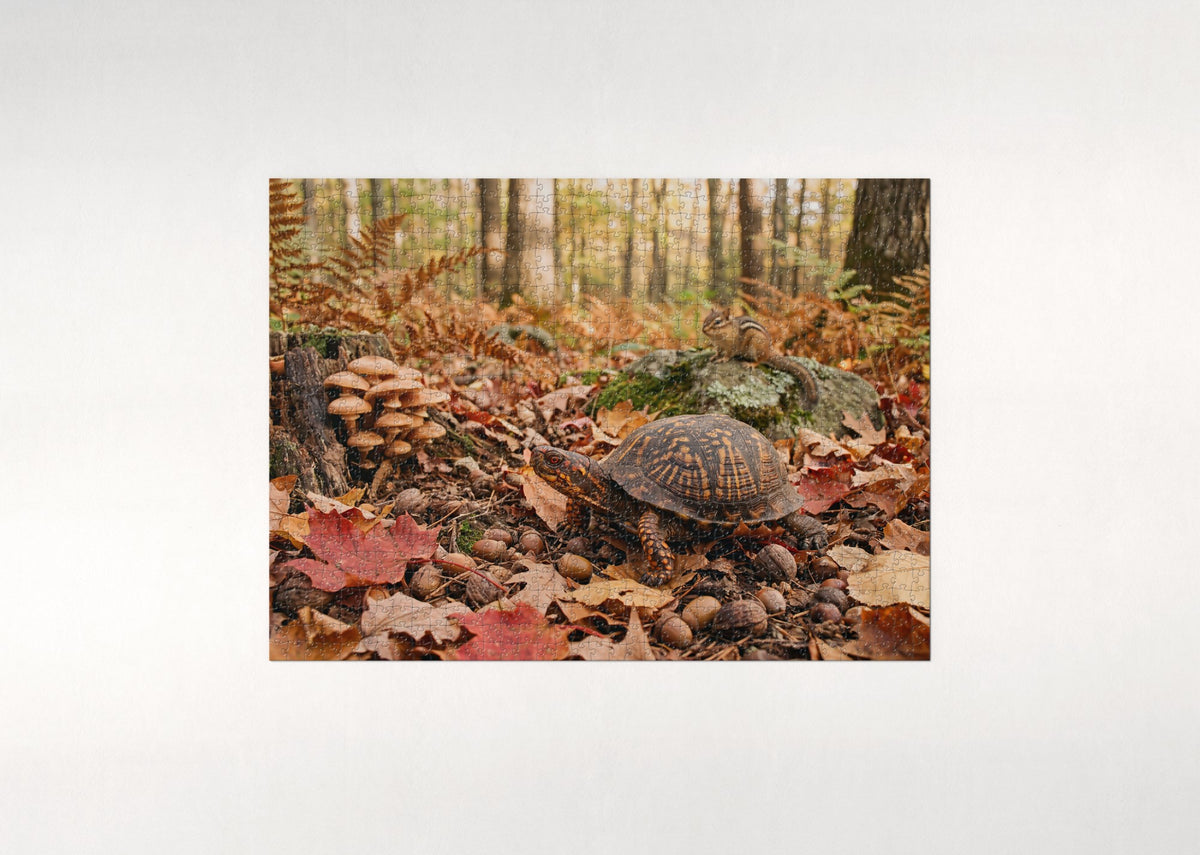 Box Turtle in the Autumn Leaves jigsaw puzzle - flat puzzle
