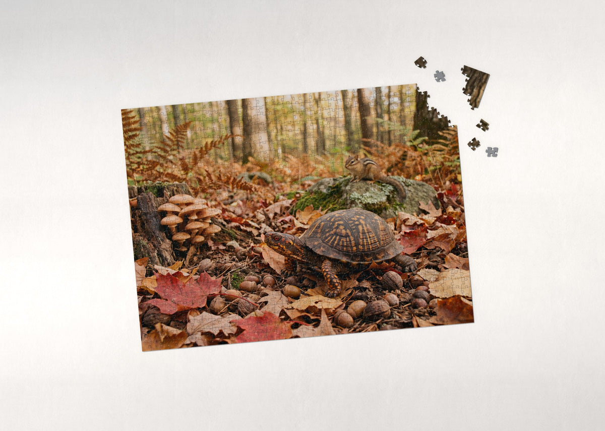 Box Turtle in the Autumn Leaves jigsaw puzzle - puzzle with loose pieces