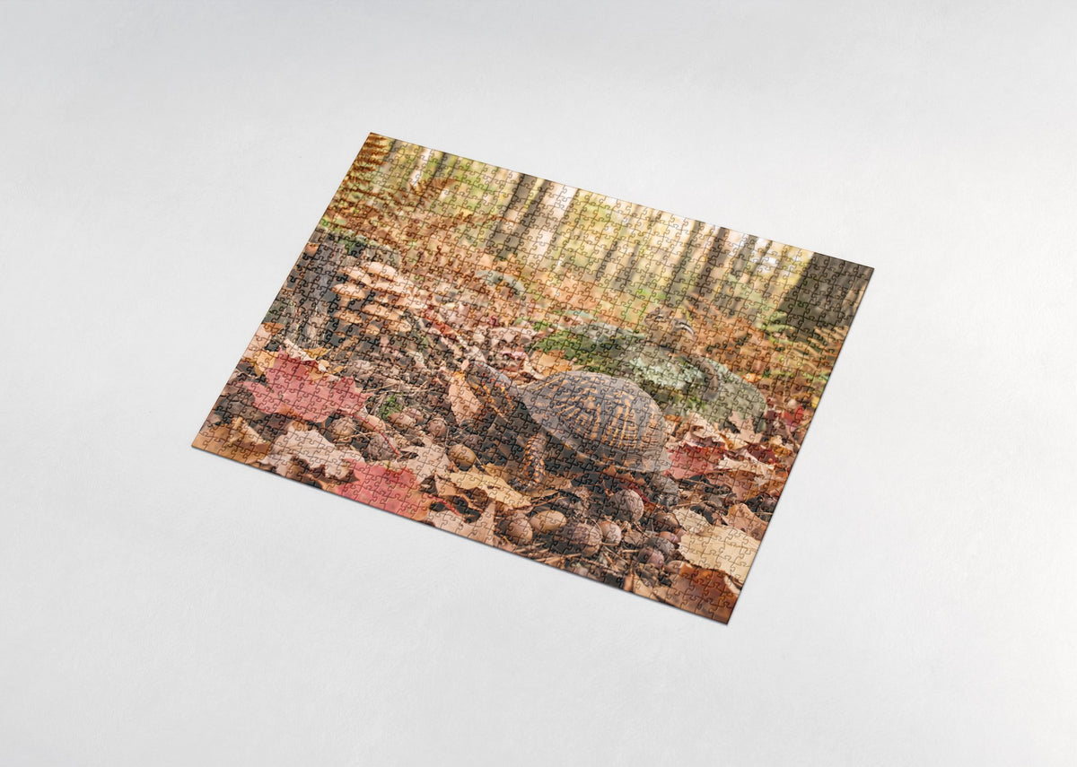 Box Turtle in the Autumn Leaves jigsaw puzzle - assembled puzzle