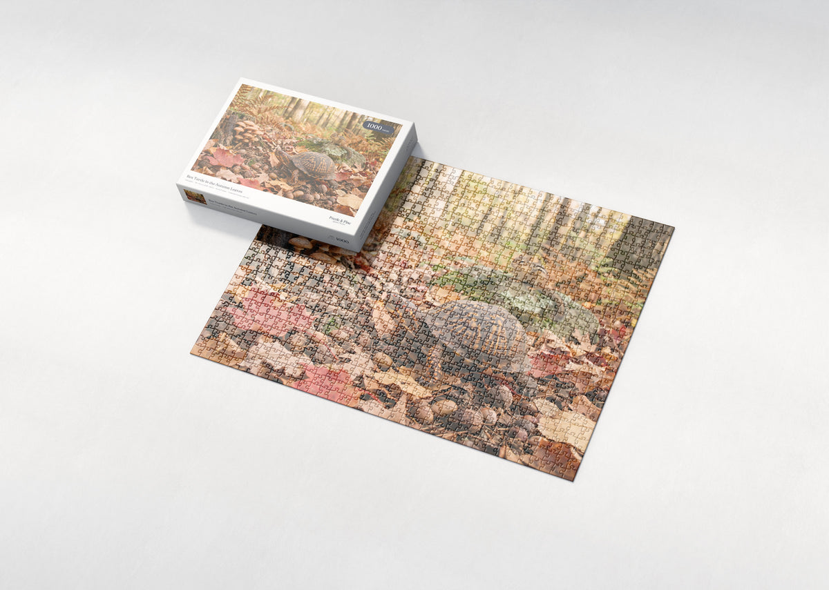 Box Turtle in the Autumn Leaves jigsaw puzzle - box and puzzle
