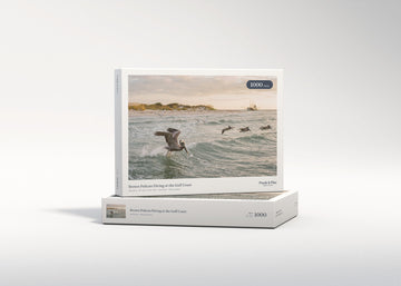 Brown Pelican Diving at the Gulf Coast jigsaw puzzle - gift box