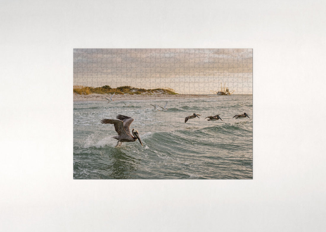 Brown Pelican Diving at the Gulf Coast jigsaw puzzle - gift box