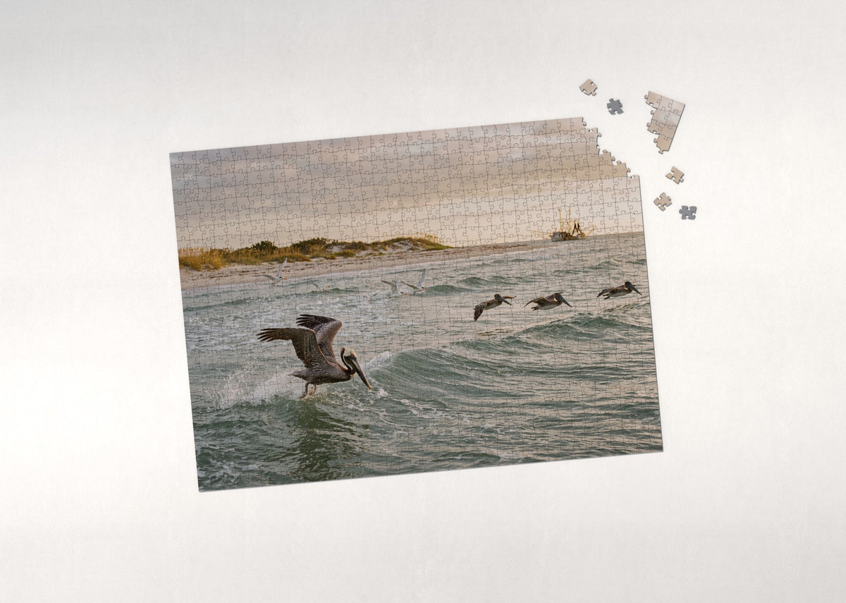 Brown Pelican Diving at the Gulf Coast jigsaw puzzle - puzzle with loose pieces