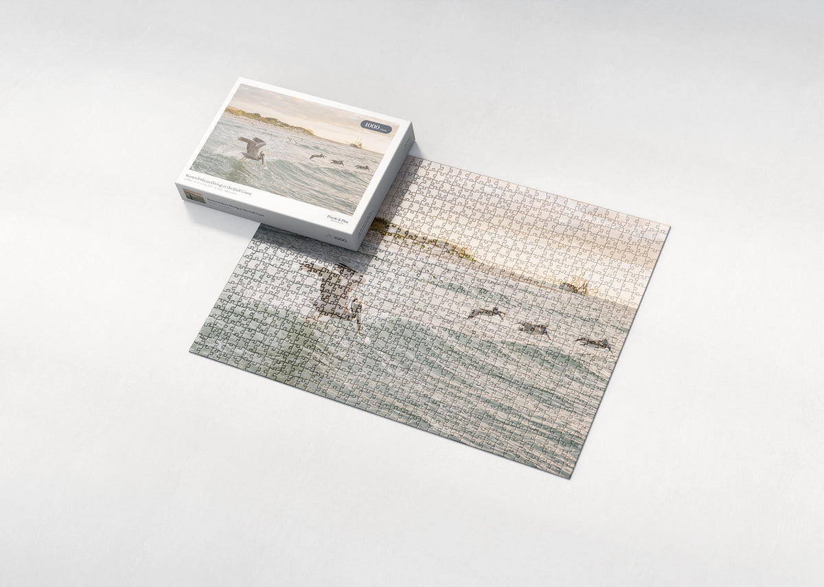 Brown Pelican Diving at the Gulf Coast jigsaw puzzle - box and puzzle