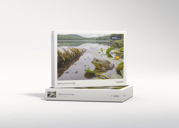 Bullfrog at the Lake Edge jigsaw puzzle - gift box
