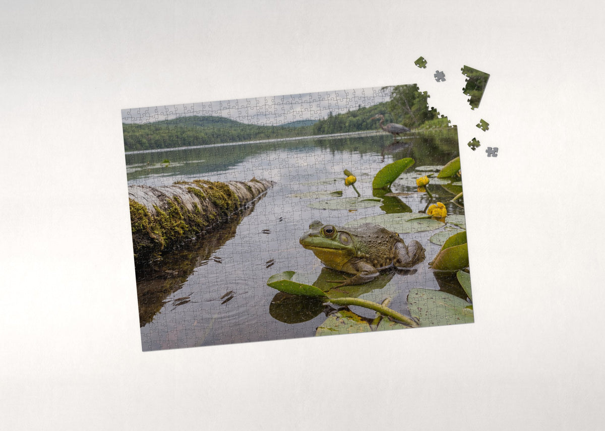 Bullfrog at the Lake Edge jigsaw puzzle - puzzle with loose pieces