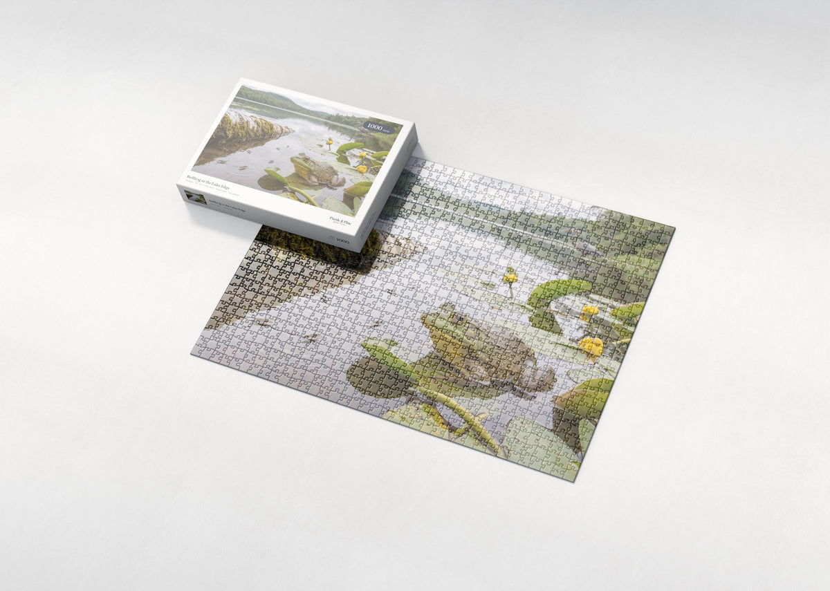 Bullfrog at the Lake Edge jigsaw puzzle - box and puzzle