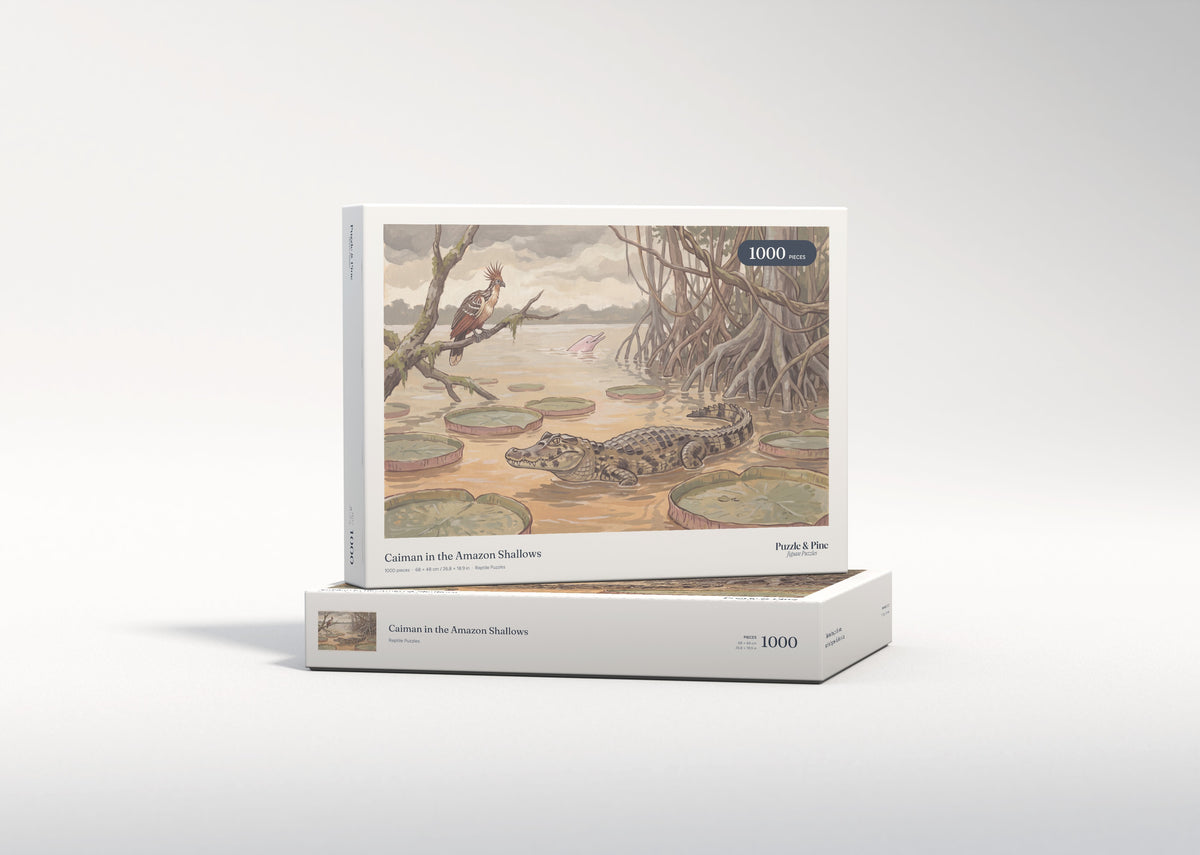 Caiman in the Amazon Shallows jigsaw puzzle - gift box