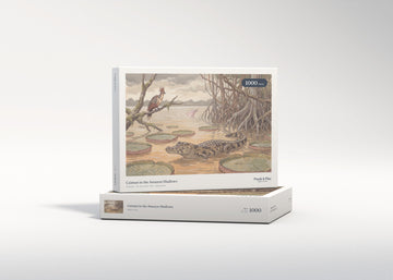 Caiman in the Amazon Shallows jigsaw puzzle - gift box