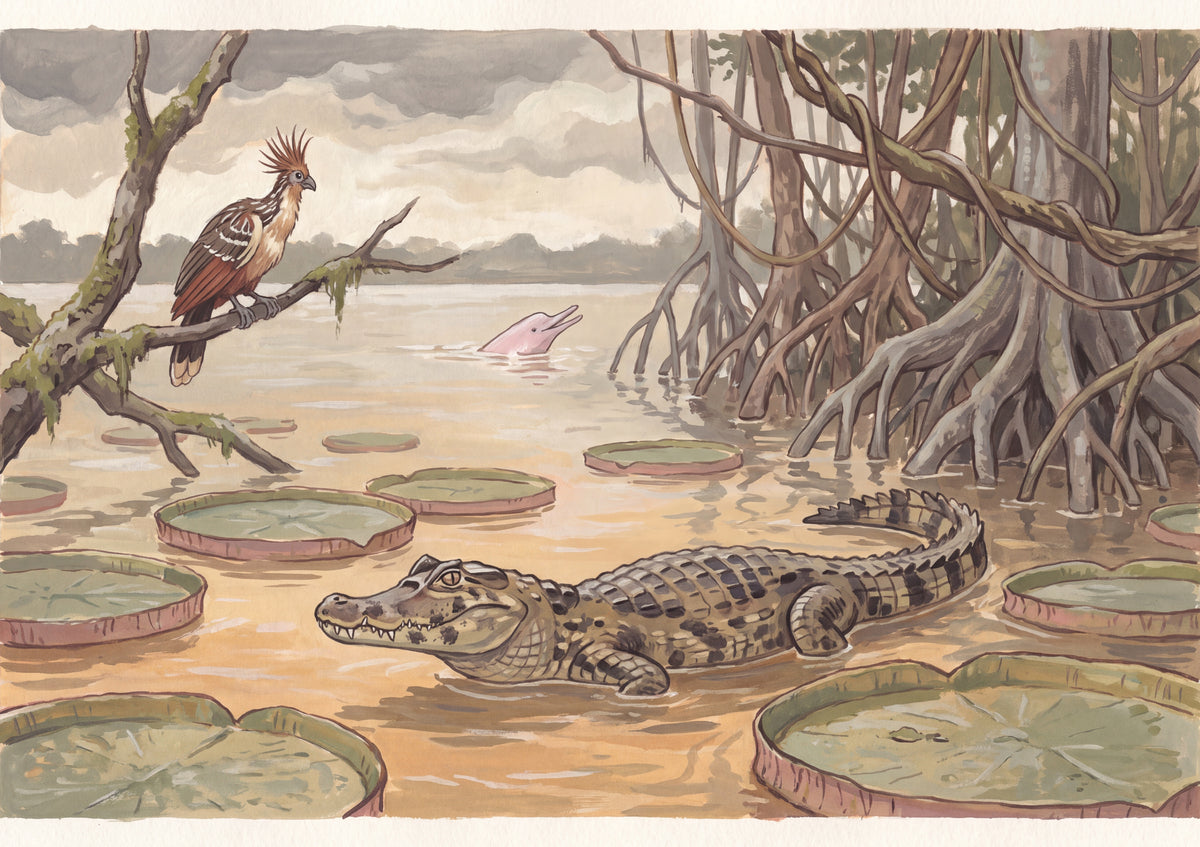 Caiman in the Amazon Shallows jigsaw puzzle