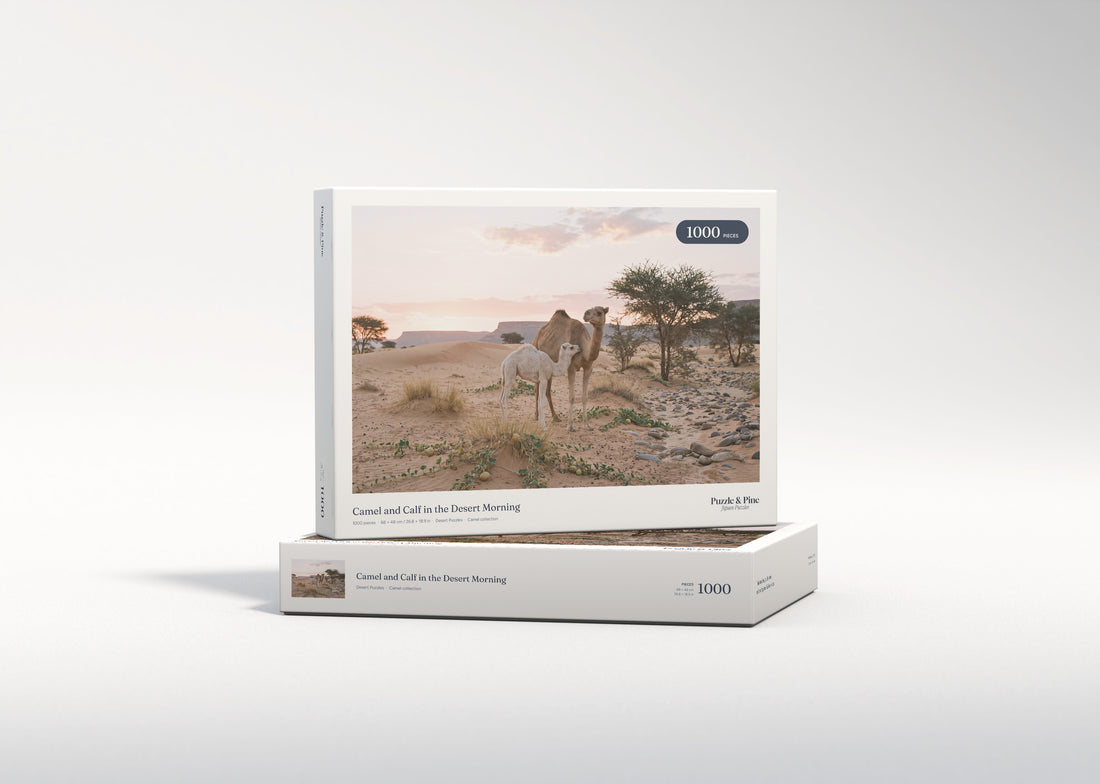 Camel and Calf in the Desert Morning jigsaw puzzle - gift box