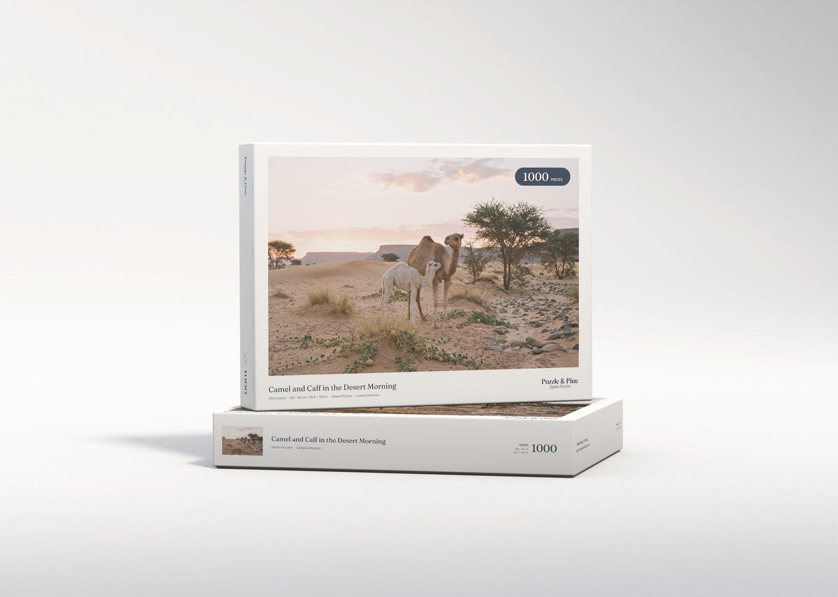 Camel and Calf in the Desert Morning jigsaw puzzle - gift box