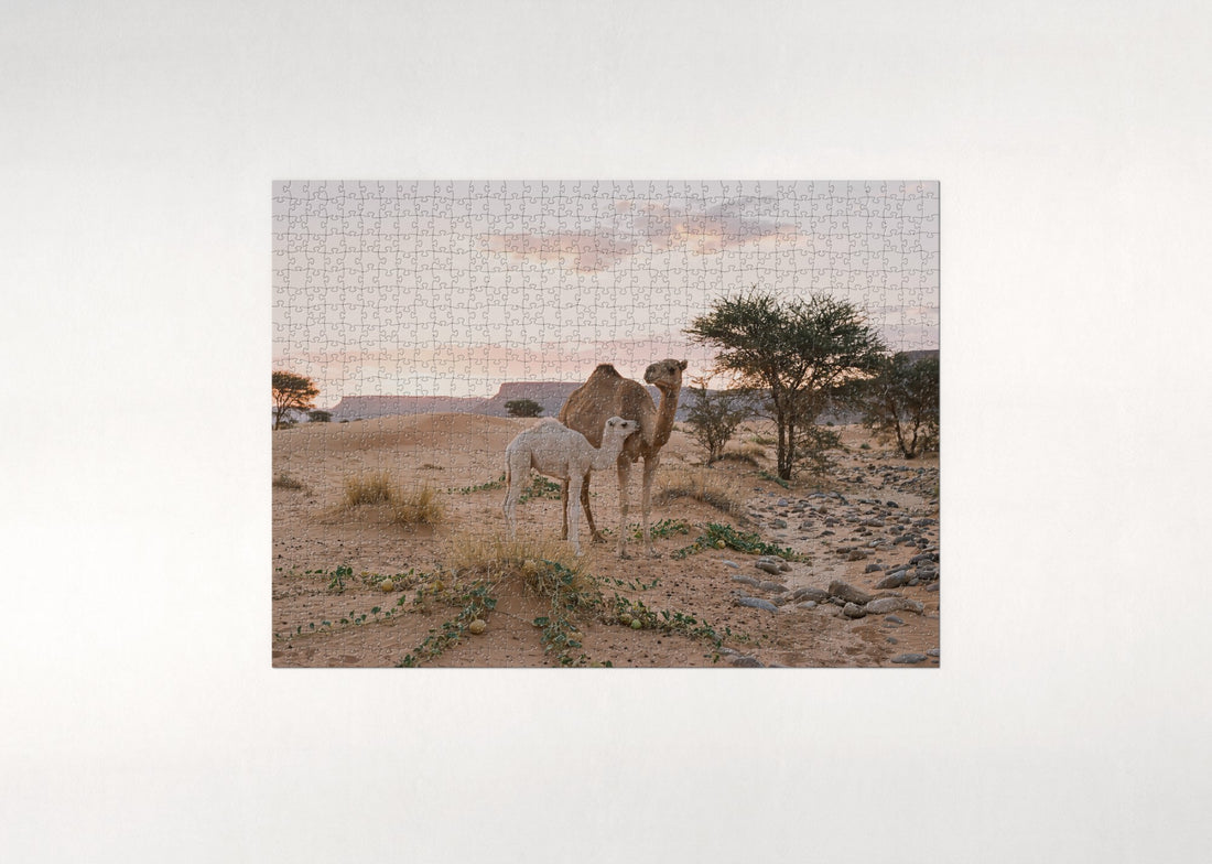 Camel and Calf in the Desert Morning jigsaw puzzle - gift box