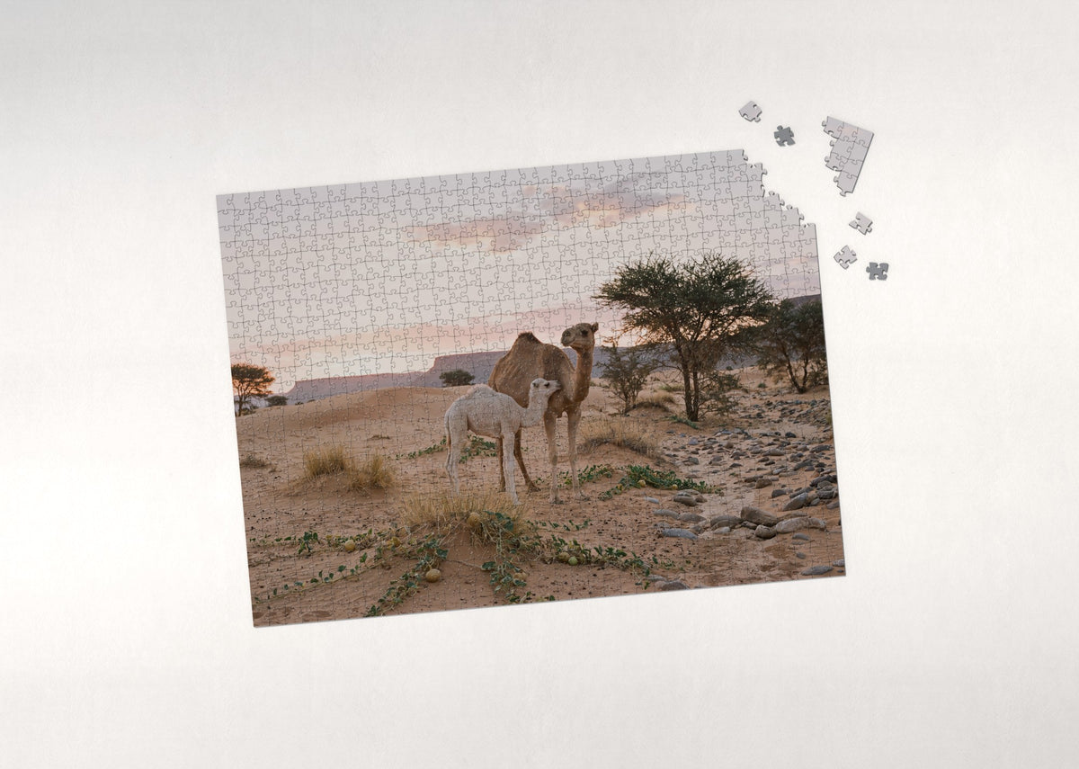 Camel and Calf in the Desert Morning jigsaw puzzle - puzzle with loose pieces