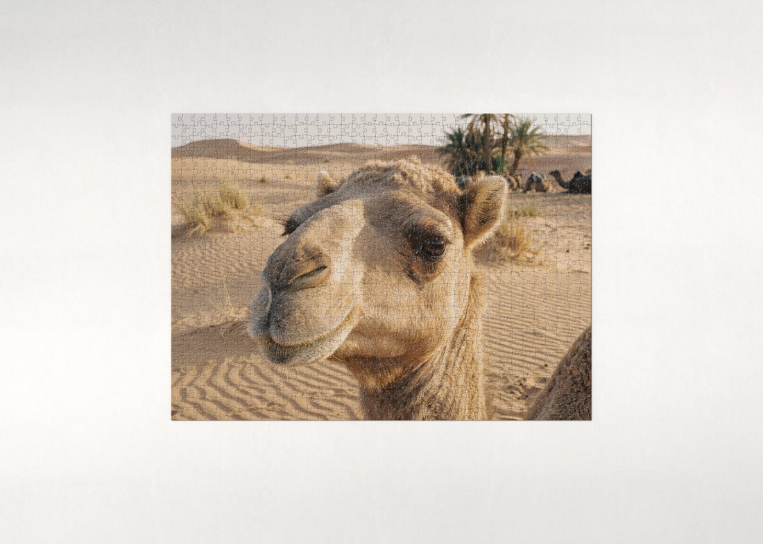 Camel Portrait with Long Lashes jigsaw puzzle - gift box