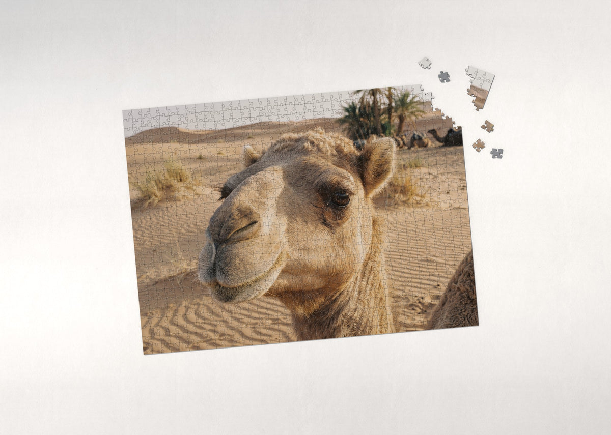 Camel Portrait with Long Lashes jigsaw puzzle - puzzle with loose pieces